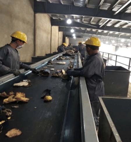 Baalbek Sorting Plant · project view 3