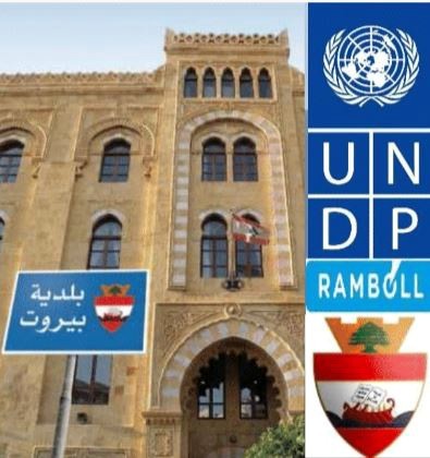 Waste To Energy Beirut (DFBOT) · project view 3